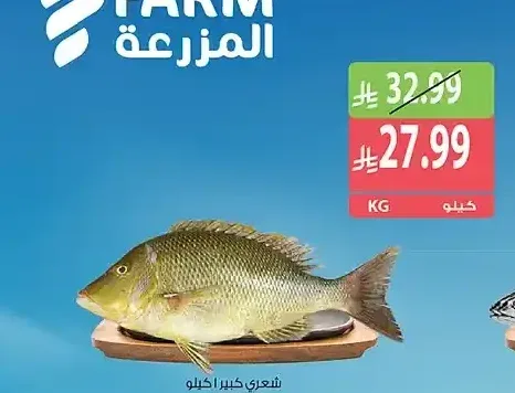شعري كبير 1 كجم