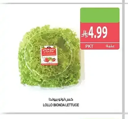 خس لولو بيوندا