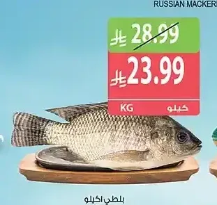 بلطي 1 كجم