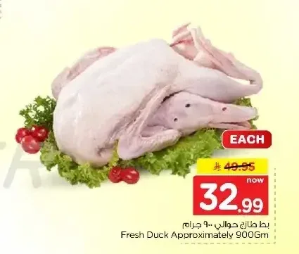 بط طازج حوالي 900 جم