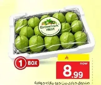 صندوق جوافة جرو مارك