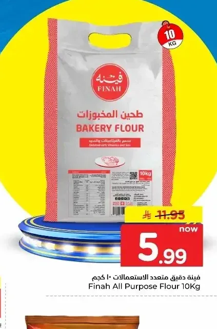 فينا دقيق متعدد الاستعمالات 10 كجم