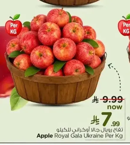 تفاح رويال جالا أوكراني للكيلو