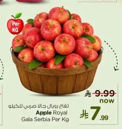 تفاح رويال جالا صربي للكيلو