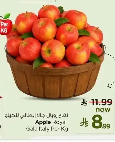 تفاح رويال جالا إيطالي للكيلو