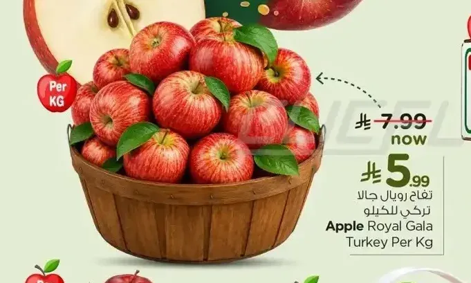 تفاح رويال جالا تركي للكيلو
