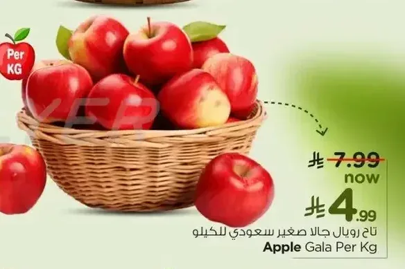 تفاح رويال جالا صغير سعودي للكيلو