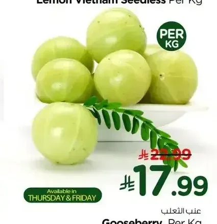 عنب الثعلب