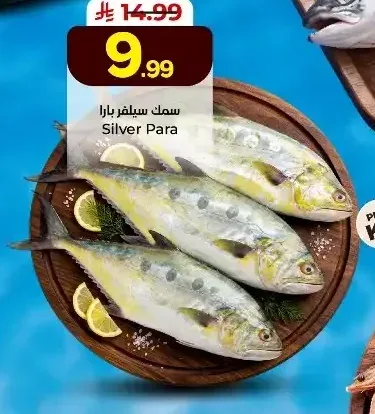 سمك سيلفر بارا