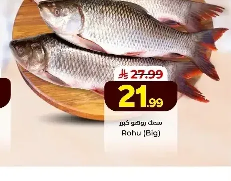 سمك روهو كبير