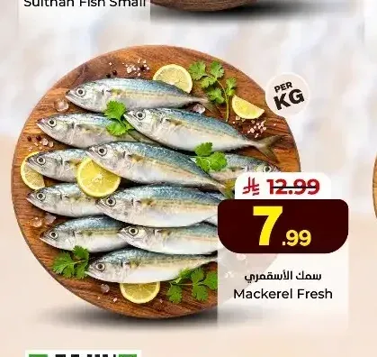 سمك الأسقمري