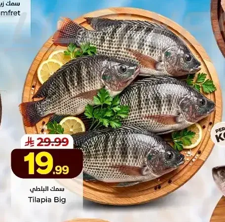 سمك بلطي