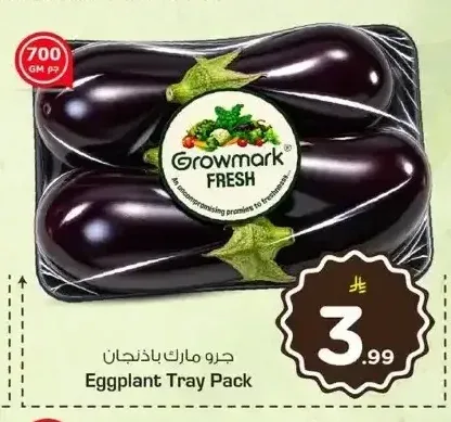 جرو مارك باذنجان