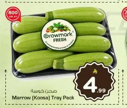 صحن كوسة