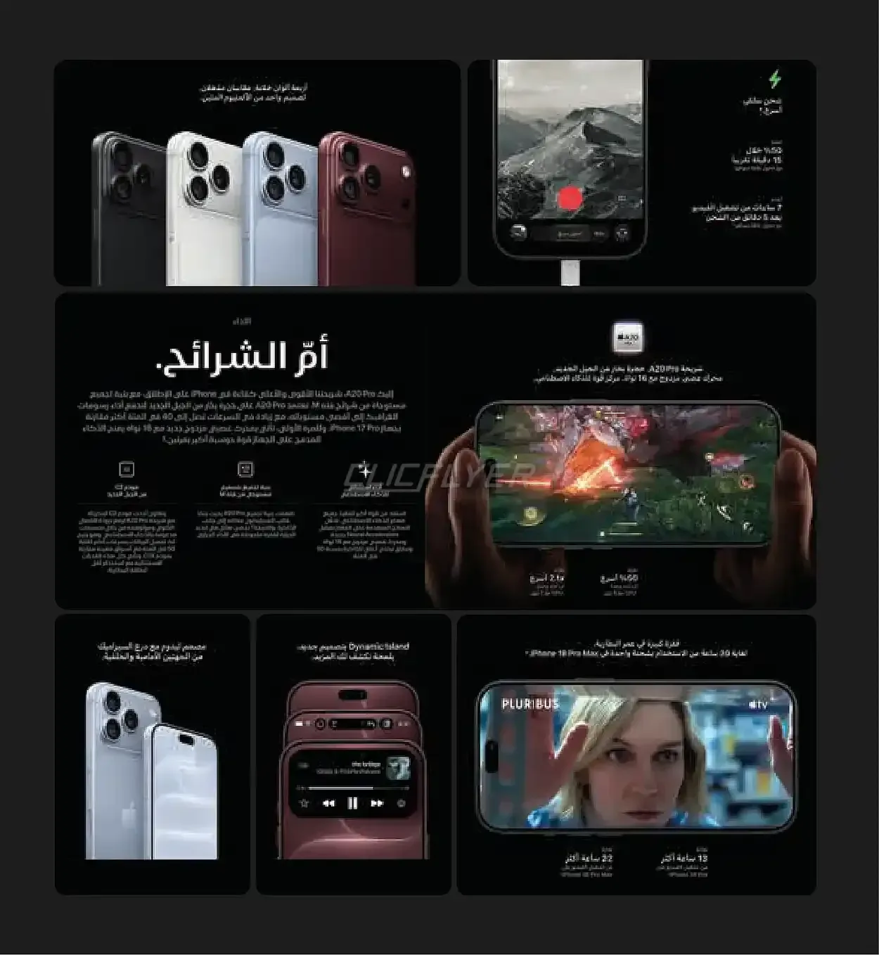 صفحة 5