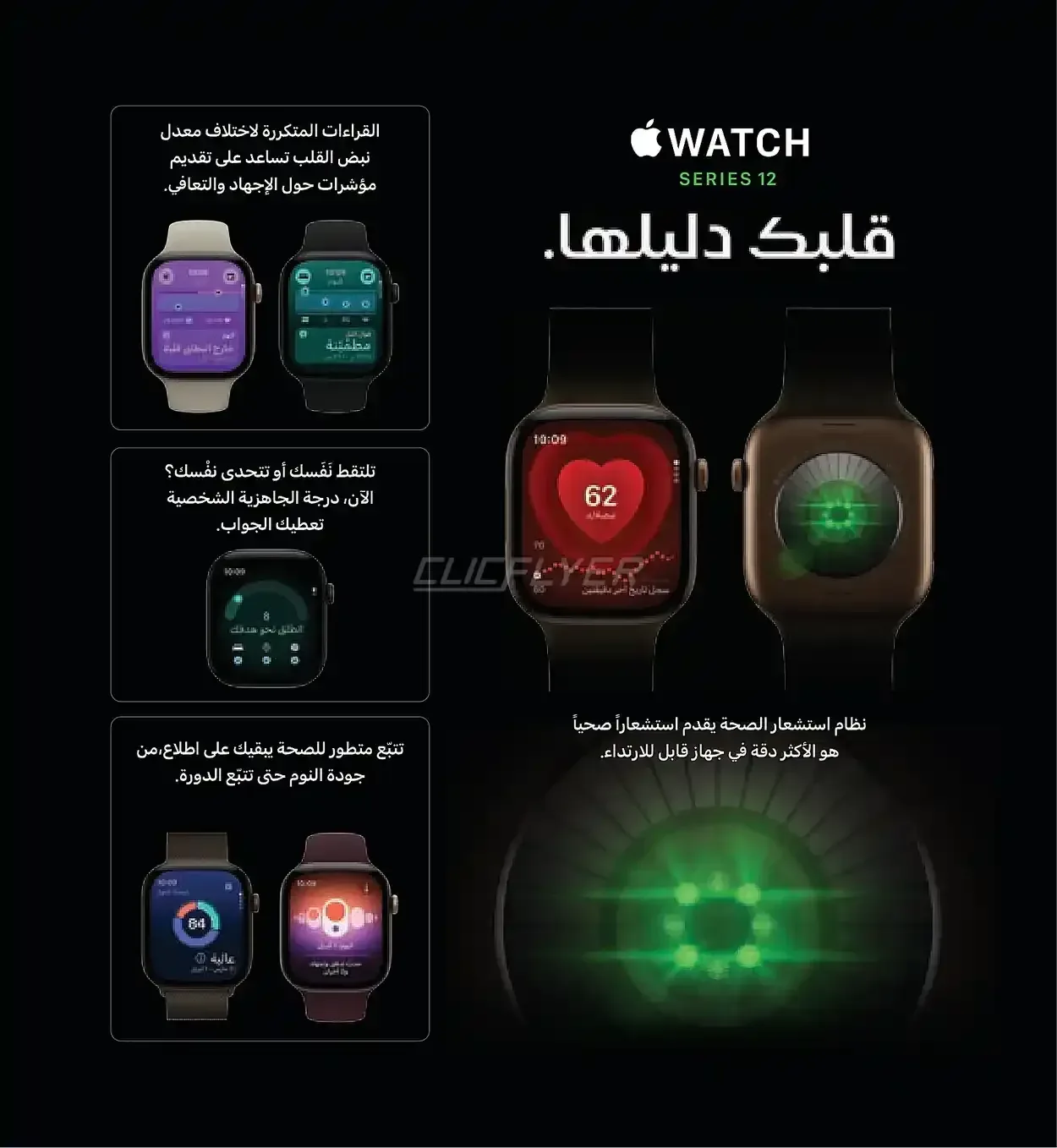 صفحة 8