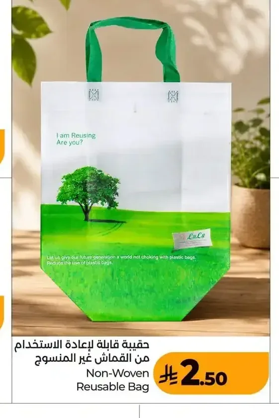 حقيبة قابلة لإعادة الاستخدام من القماش غير المنسوج