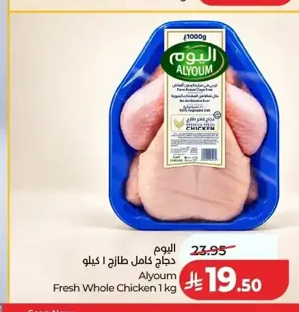 اليوم دجاج كامل طازج 1 كيلو