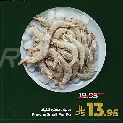 روبيان صغير للكيلو