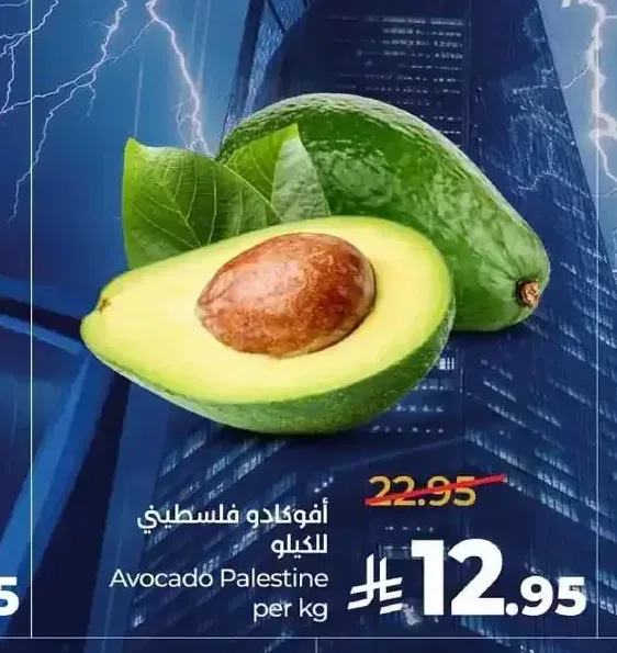 أفوكادو فلسطيني للكيلو
