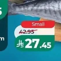 سمك كنعد صغير طازج لكل كيلو