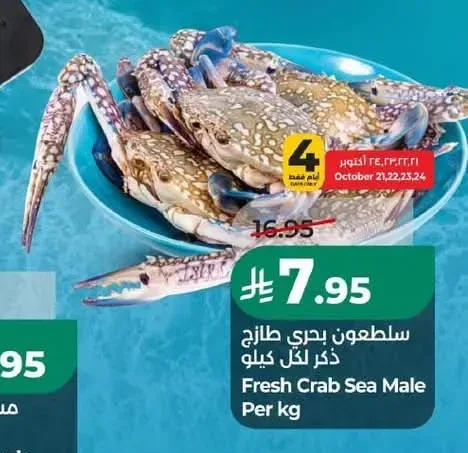 سلطعون بحري طازج ذكر لكل كيلو