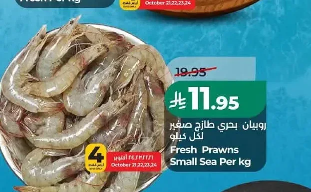 روبيان بحري طازج صغير لكل كيلو