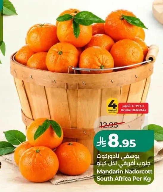 يوسفي نادوركوت جنوب أفريقي لكل كيلو