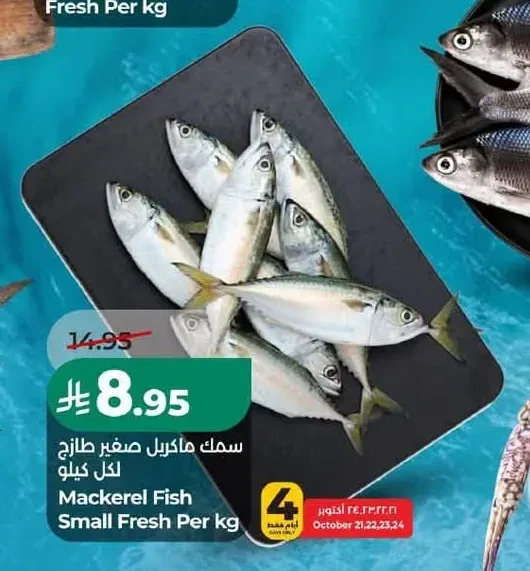 سمك ماكريل صغير طازج لكل كيلو