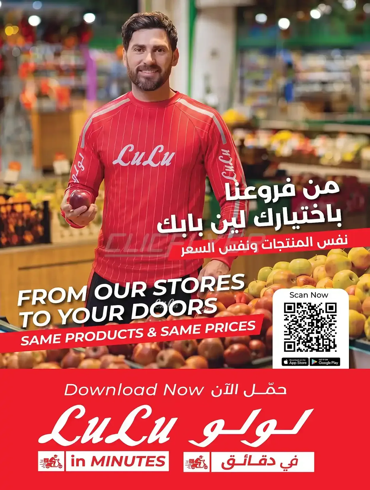 صفحة 15