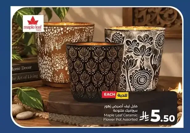مابل ليف أصيص زهور سيراميك متنوعة