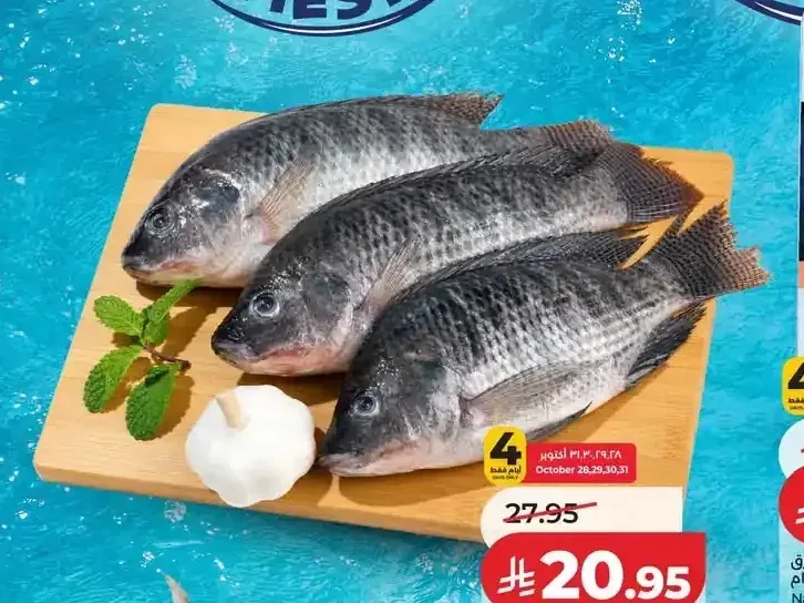 سمك بلطي محلي للكيلو