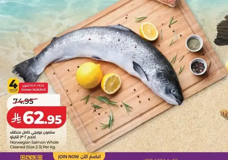 سمك سلمون نرويجي كامل منظف (حجم 2-3) للكيلو