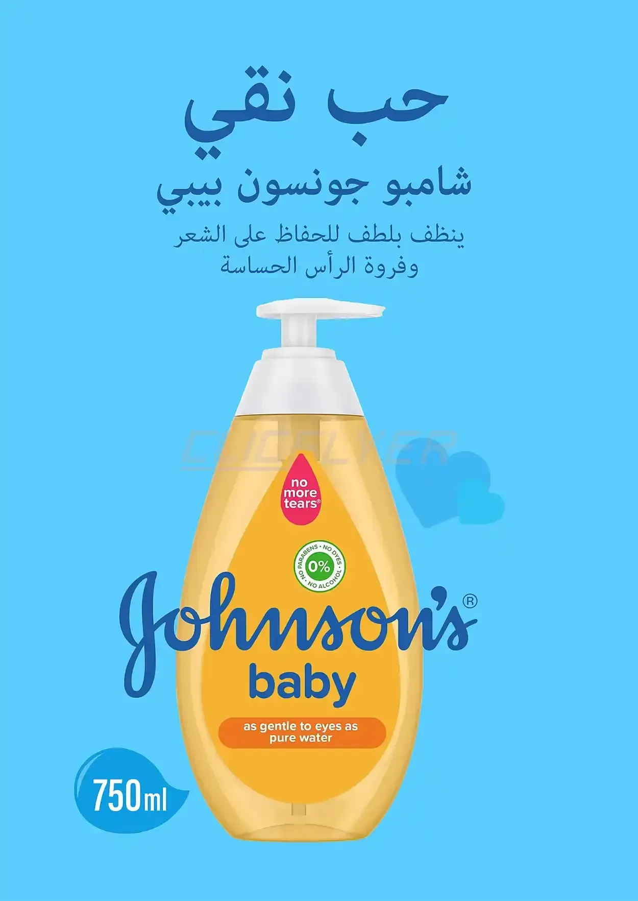 صفحة 13