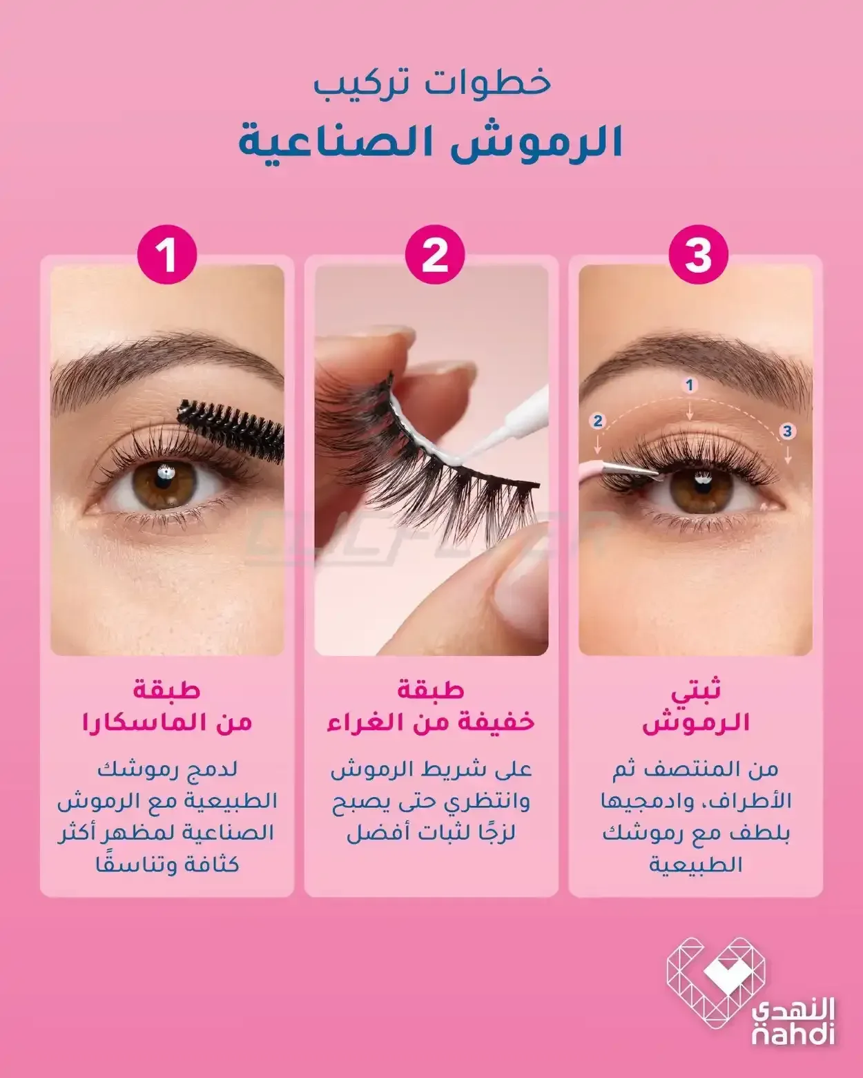 صفحة 13