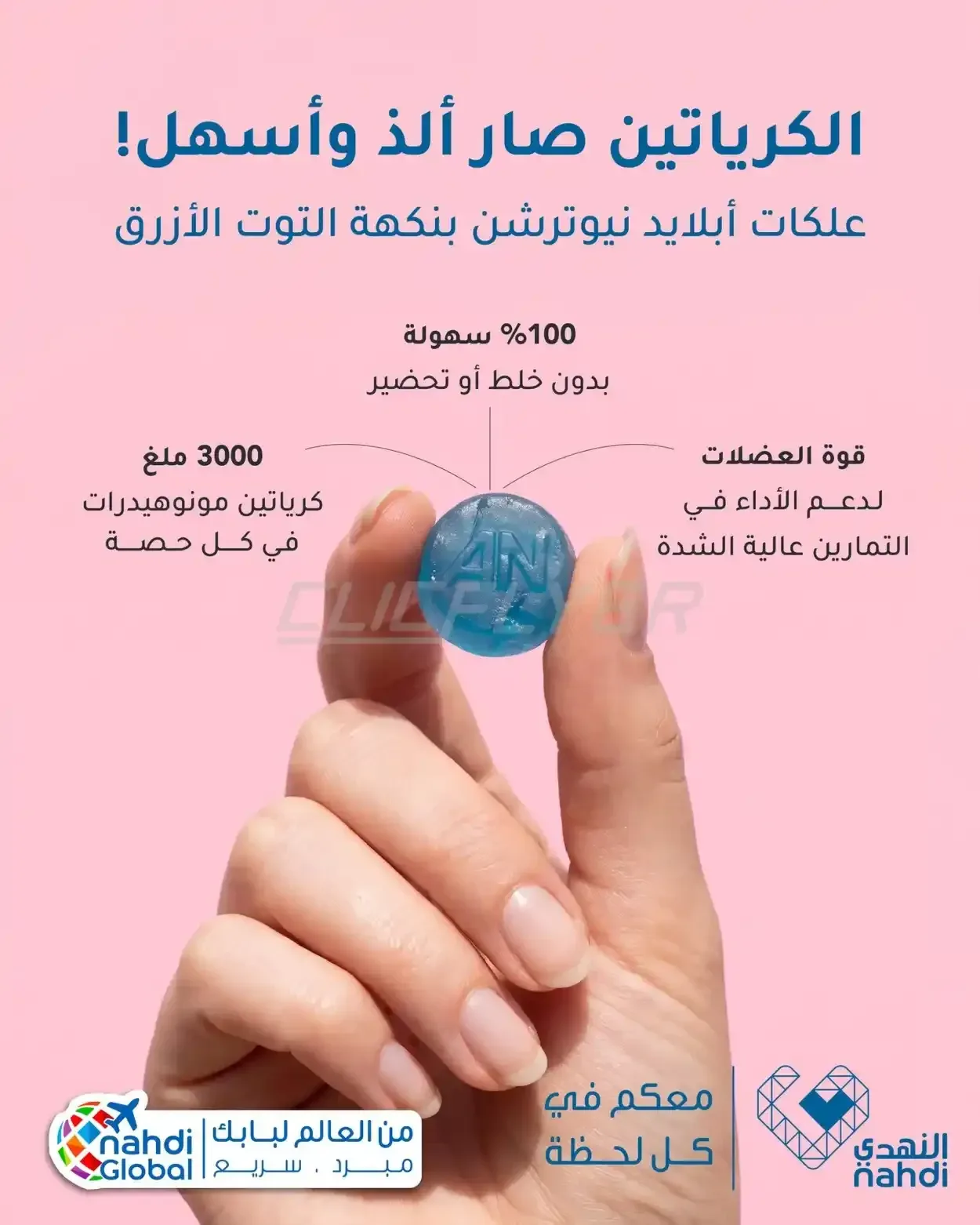 صفحة 26