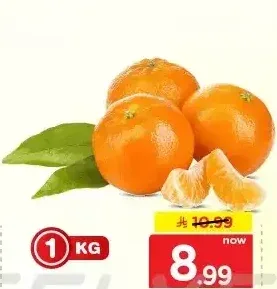 نادركوت يوسفي