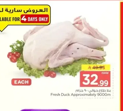 بط طازج حوالي 900 جرام