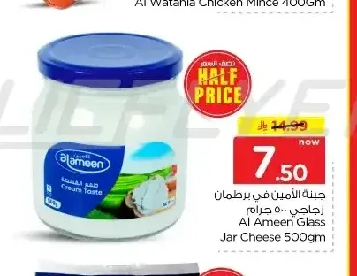 جبنة في برطمان الأمين 500 جم
