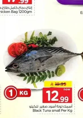 سمك تونة أسود صغير للكيلو