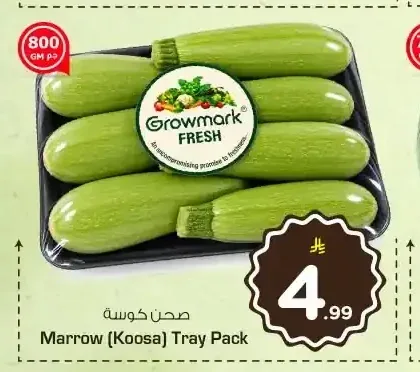 كوسة صحن جرو مارك