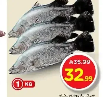سمك باراموندي