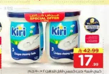 جبن كريمي قابل للدهن كيري 2 × 500 جم
