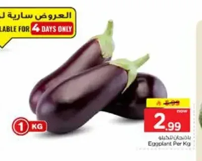 باذنجان للكيلو