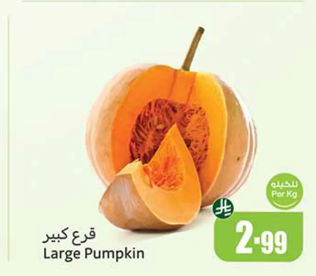 قرع كبير