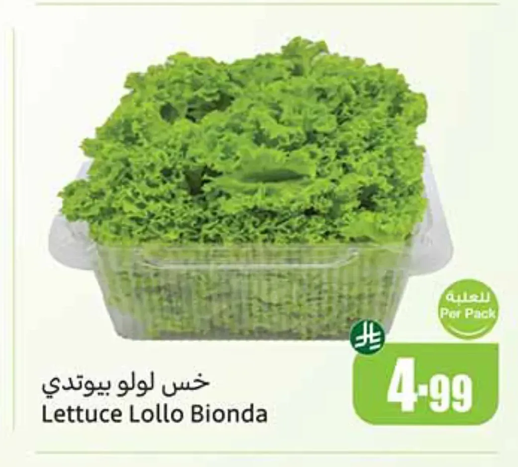 خس لولو بيوتدي