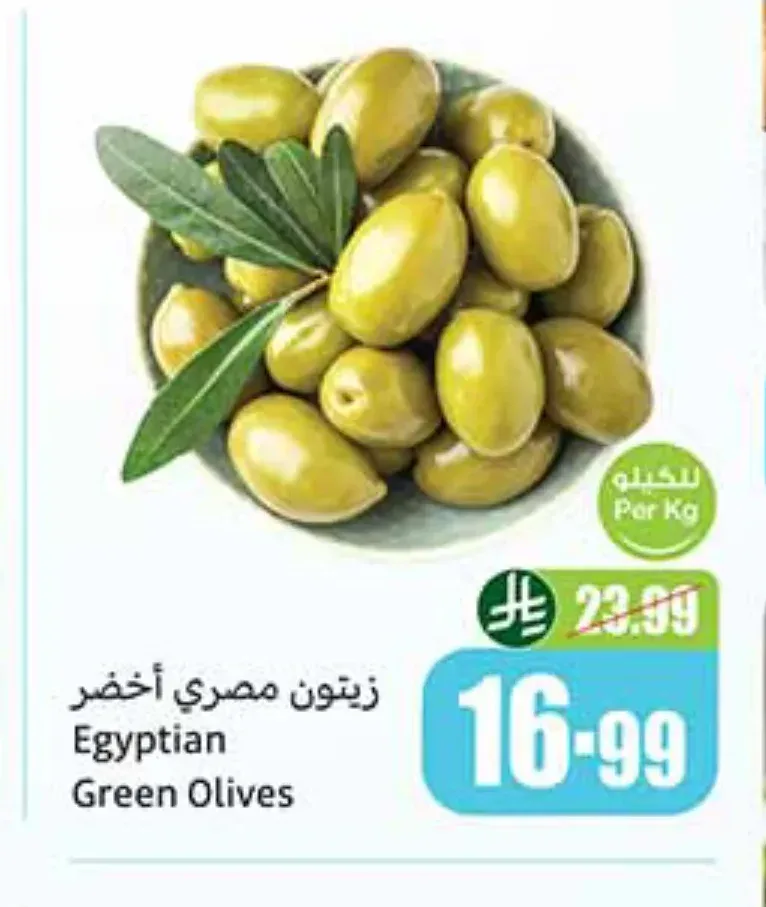 زيتون مصري أخضر