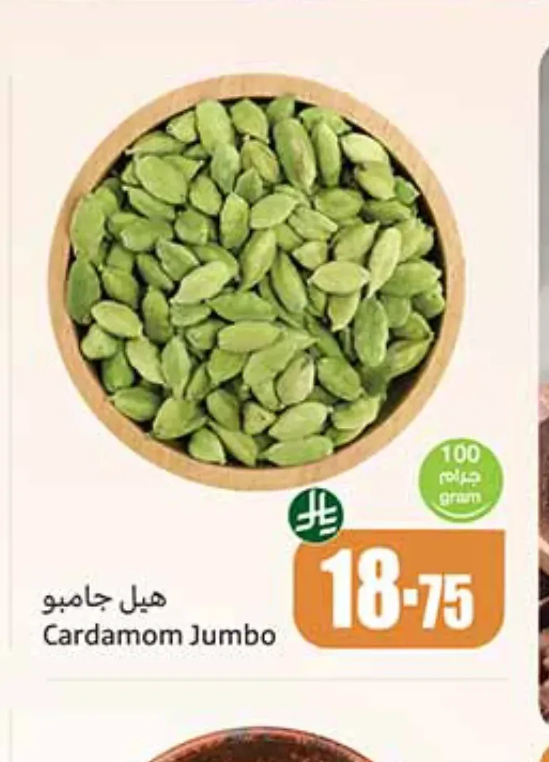 هيل جامبو