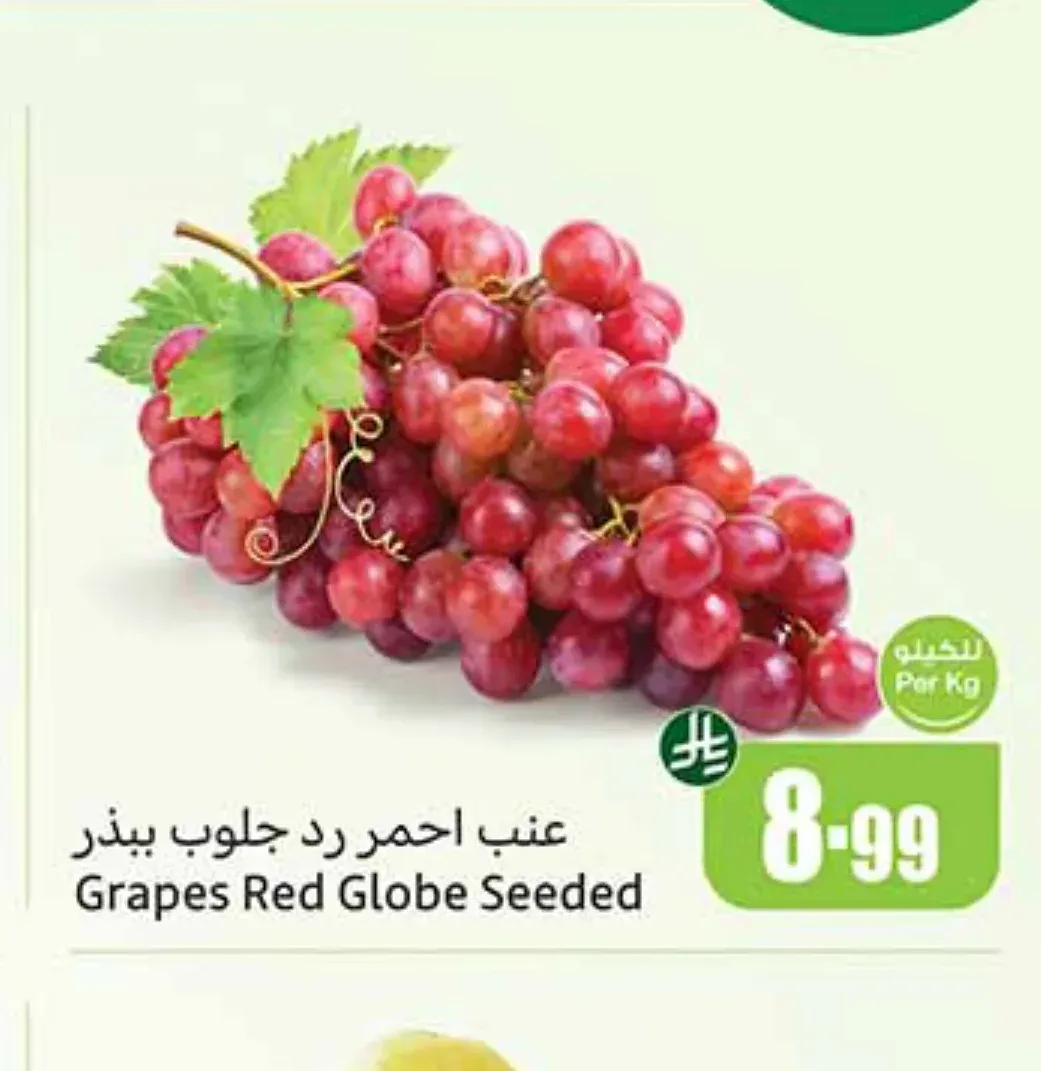 عنب احمر رد جلوب بيذر