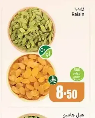 زبيب